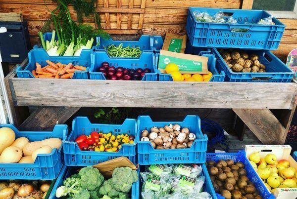 organic vegetable display in crates