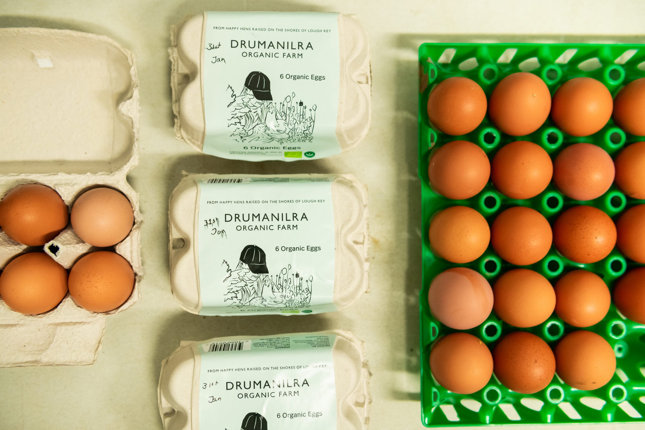 Organic Eggs vs Regular Eggs – what’s the difference?