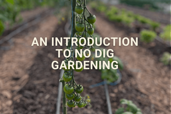 Farm Tours (600 x 600 px)