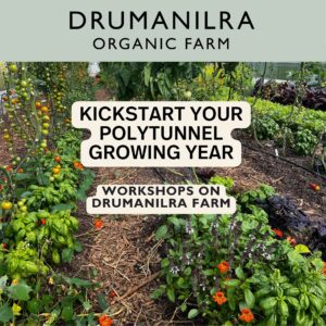 April | Kickstart Your Polytunnel Growing Year