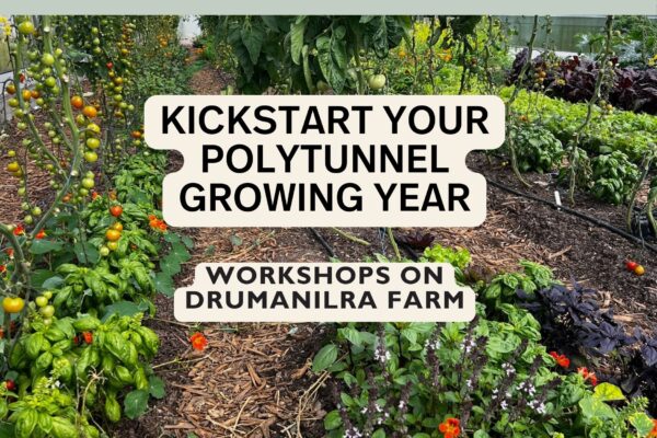 Copy of Farm Tours-5